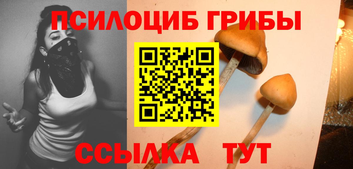 Псилоцибиновые грибы ЛСД  Галлюциногенные грибы Psilocybe  Избербаш  Вход с VPN 